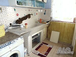 image_11
