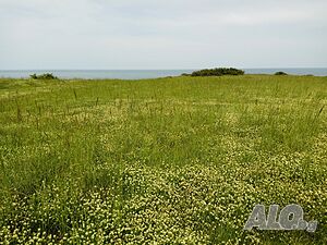 Първа линия море в с. Варвара