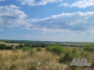 image_10