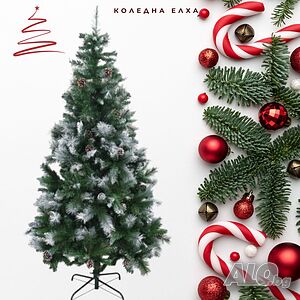 image_7