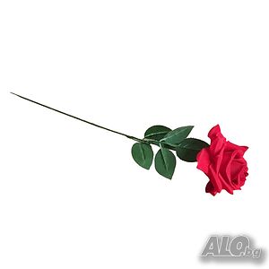 image_4
