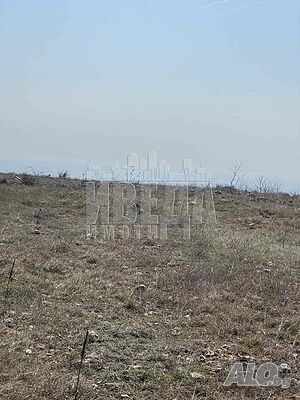image_11