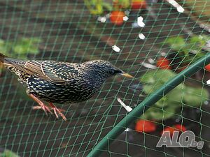 Мрежа срещу птици BIRDNET