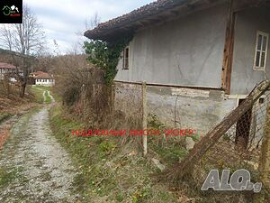 image_2