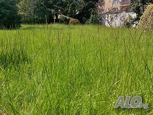 image_14