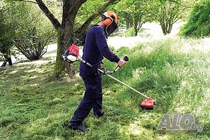 Целогодишна поддръжка на градини и почистване на дворове и парцели