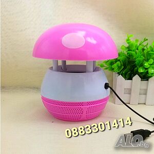 image_2