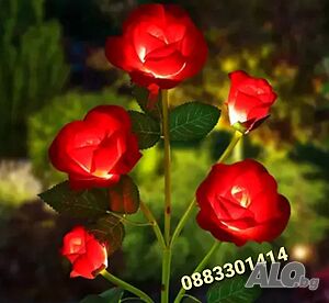 image_3