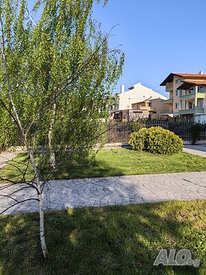 image_7