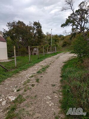 image_10