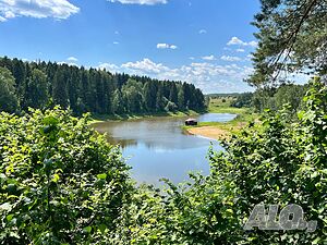 image_15