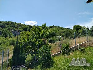 image_9
