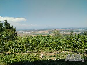 image_13