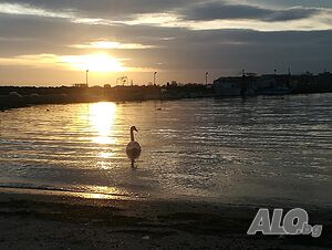 image_14
