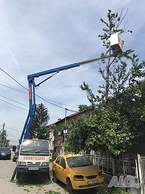 Рязане на опаснни дървета. Автовишки под наем!