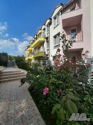 image_8