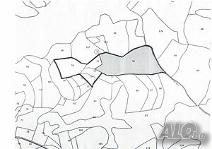 об.3636 - Гора с площ от 59 дка в землището на община Струмяни