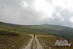 Приятно прекарване за дама с богато въображение