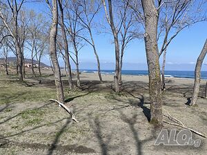 image_7