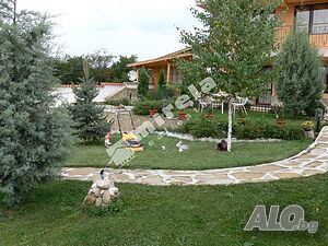 image_7