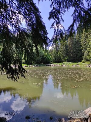 Студио ”Яна”, Mountain Lake, гр. Смолян