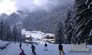 image_46