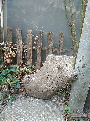 image_14