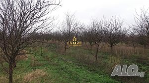 Парцел със сини сливи и орехи в Калчево