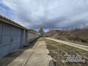 image_6