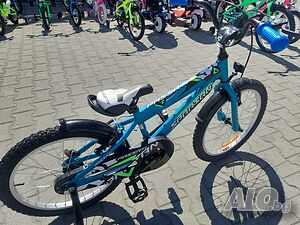 image_3