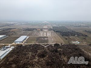 image_10