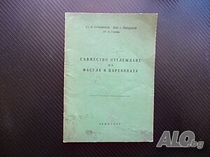 Съвместно отглеждане на фасула и царевицата селско стопанство