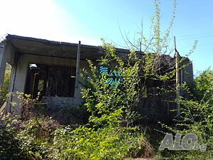 image_5
