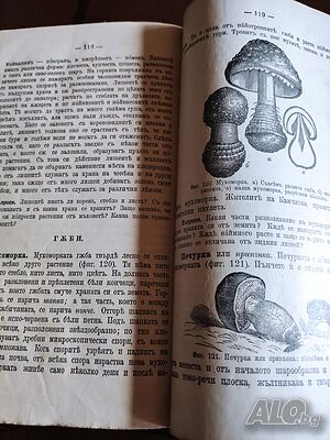 image_11