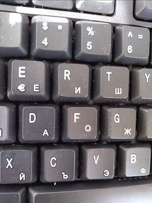 image_5