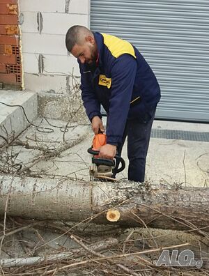 image_6