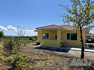 image_11