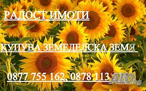 30дка един парцел - Продава земеделска земя - Генерал Тошево, Добрич