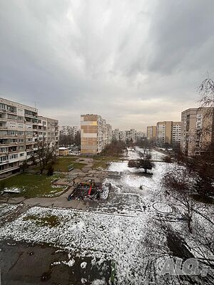 image_7