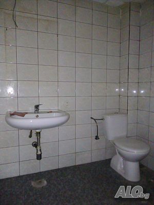 image_11