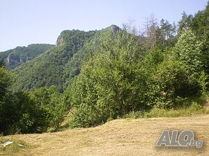 Продавам имот между гр. Тетевен и с. Рибарица в м. ”Пейков дол ”