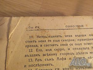 image_7