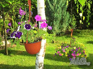 image_45