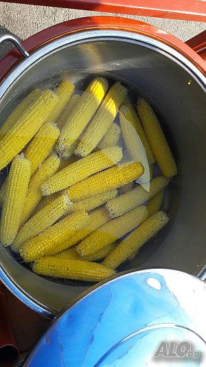 image_6