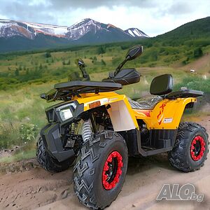 ATV 200cc MaxMotors Shark