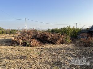 image_9
