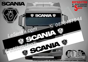 SCANIA сенник за камион и автобус