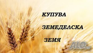 Купува земеделска земя