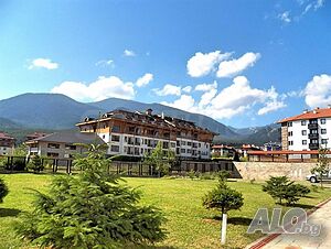 image_11