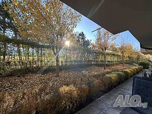 image_12